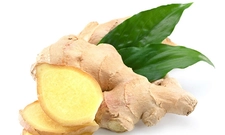 Kök Zencefil Kullanımı ve Faydaları Nelerdir?